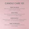 Yankee Candle 22 Oz. Vanilla Cupcake Large Jar Candle 2654292W 614301