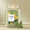 Yankee Candle 22 Oz. Sage & Citrus Large Jar Candle 2654267W 619668