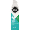 Stem 10 Oz. Aerosol Spray Flying Insect Killer 3281