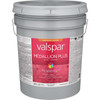 Medallion Plus Ext Sg Clear Bs Paint 028.0027004.008
