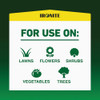 Ironite 30 Lb. 10,000 Sq. Ft. Coverage Soluble Iron 100544884 713035