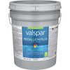 Medallion Plus Int Sat Clear Bs Paint 028.0023004.008