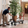 Rubbermaid Commercial Platform Truck, Black, Steel, 2,000 lb FG443600BLA