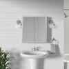 Zenna Home 24x26 Biview Med Cabinet GYBW2426 262974