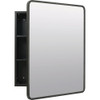 Zenna Home 24x30 Blk Med Cabinet EZMST24 278563