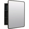 Zenna Home 24x30 Blk Med Cabinet EZMST24 278563