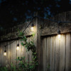 Feit Electric 24 Ft. Smart Color White Filament String Light Set SL24-12/RGBW/WFIL/AG 860455