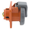Hubbell Wiring Device-Kellems HBL4100R12W