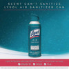 Lysol 10 Oz. Simple Fresh Air Sanitizer Spray 1920099350 617935