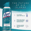 Lysol 10 Oz. Simple Fresh Air Sanitizer Spray 1920099350 617935