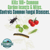Maggie's Farm 24oz Insc&diseas Control MVID024 738739