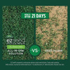 eZ Seed 20lb Tall Fescue Ez Seed 17451 700145