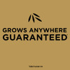 eZ Seed 20lb Tall Fescue Ez Seed 17451 700145