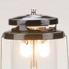 Coleman 1000 Lm. Deluxe Propane Lantern with Carry Case 2000026520 724788