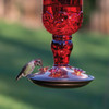 Perky-Pet 24 Oz. Red Antique Bottle Hummingbird Feeder 8119-2 817258