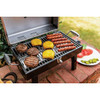 Char-Broil 200 Sq. In. Portable Gas Grill 465640214 848859