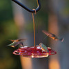 More Birds 3-in-1 6 Oz. Hummingbird Feeder 30-3N1 855526