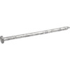 Hillman Fas-n-Tite 8 In. Hot Dipped Galvanized Common Spikes (18-Count) 461474 240906