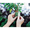 VELCRO Brand One-Wrap 2 In. x 18 Ft. Green Tree Tie Roll VEL-30070-USA 769726