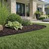 Dig-Free 1.5x50 Blk Lndscp Edging 41250 707356