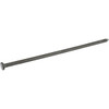 Hillman Fas-n-Tite 10 In. Bright Common Spikes (15-Count) 461494 208633