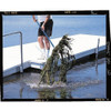 28 in Aluminum Aquatic Weed Eradicator, 184 Tines, 132 in L Aluminum Handle  87028GR