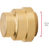 QuickFitting 1-2 In. Push-to-Connect Brass Push Cap (End Stop) LF816R 450026