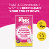 The Pink Stuff Miracle Power Foaming Toilet Cleaner (2-Pk.) 824996 615032