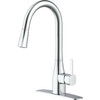 Home Impressions 1-Handle Pull-Down Kitchen Faucet, Chrome FP4AF316CP-JPA9