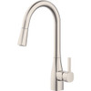 Home Impressions 1-Handle Pull-Down Kitchen Faucet, Brushed Nickel FP4AF316NP-JPA9 489724