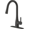 Home Impressions 1-Handle Pull-Down Kitchen Faucet, Matte Black FP4AF316BL-JPA1