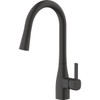 Home Impressions 1-Handle Pull-Down Kitchen Faucet, Matte Black FP4AF316BL-JPA1 492098