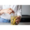 Masontops Wide Mouth Pickle Pebbles Canning Weight (4-Pack) PPP4 602830
