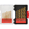 Do it Best Titanium Drill Bit Set (21-Piece) QJDIB-PTASET-006B 306487
