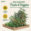 Greenes Fence 4 Ft. x 4 Ft. x 5.5 In. Cedar Raised Garden Bed RC4S4B 757851