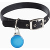 Nite Ize WearAbout Pet Blue Clippable Tracker Holder WATP-03T-R6 753702