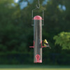 Panacea Plastic Tube Bird Feeder 23924 809638