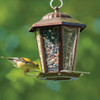 Panacea Small Brushed Copper Lantern Bird Feeder 23833 817180
