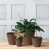 Novelty StoneArt Dolce 8 In. Rust Round Planter 03082 754720