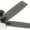 Hunter Anisten 52 In. Matte Black Ceiling Fan with LED Light Kit and Pull Chain 52485 525430