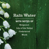 Mrs. Meyer's 16 Oz. Rainwater Multi-Surface Everyday Cleaner 11925 607036