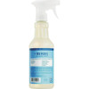 Mrs. Meyer's 16 Oz. Rainwater Multi-Surface Everyday Cleaner 11925 607036