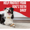 Milk Bone 19.6 Oz. Brushing Chews, Original Chicken Flavor, Small-Medium 7910078558 741612
