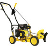 Champion 9 In. 79cc Lawn Edger with Curb Hop Feature 201465