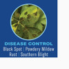 BioAdvanced 4 Lb. Ready To Use Granules Shrub Care Protect & Feed Insect Killer 801000A 766642