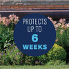 BioAdvanced 4 Lb. Ready To Use Granules Shrub Care Protect & Feed Insect Killer 801000A 766642
