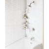 Zenith Zenna Home Metal 12 In. x 97 In. Shower Caddy 2156NN 467284