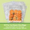 FoodSaver 1 Qt. Pre-Cut Bag (43-Ct.) 2215035 602427