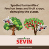 Garden Tech Sevin 16 Oz. Concentrate Insect Killer 100547212 758228