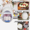 Egg Pod Microwave Egg Cooker 7001 630954